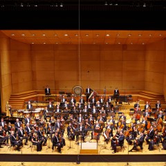 6/8 Orkester Slovenske filharmonije; foto Janez Kotar